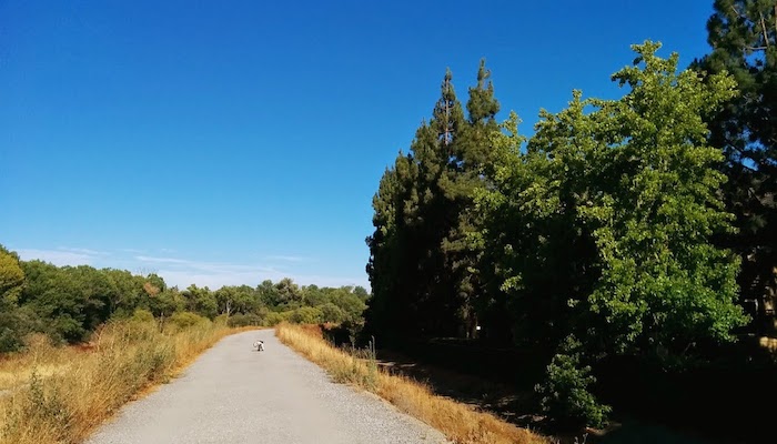 Coyote Creek Trail