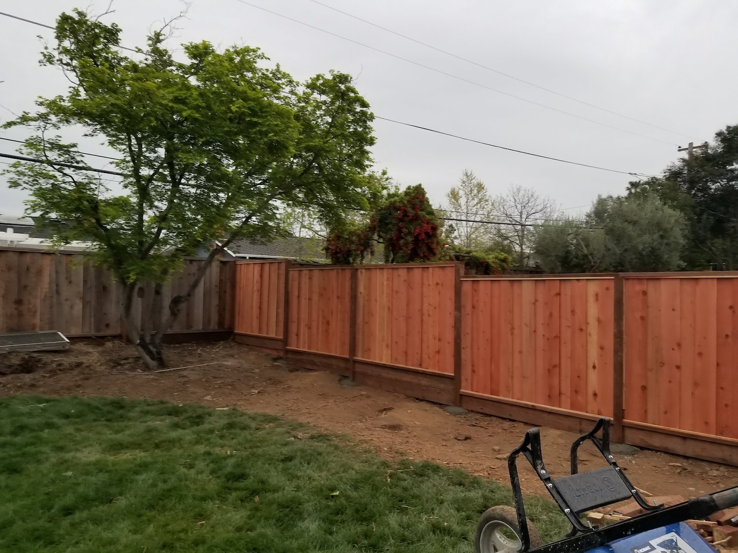 South side fence