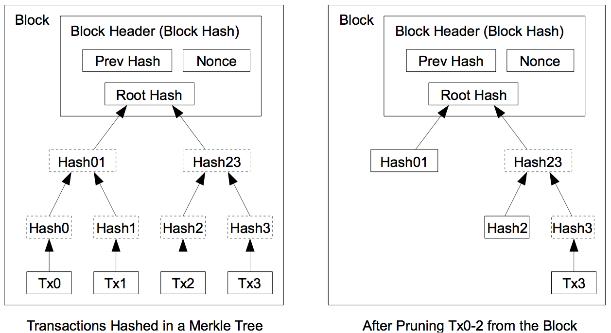 Merkle Tree Prunning