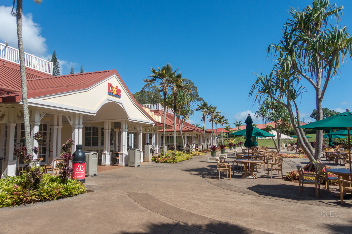 Dole Plantation