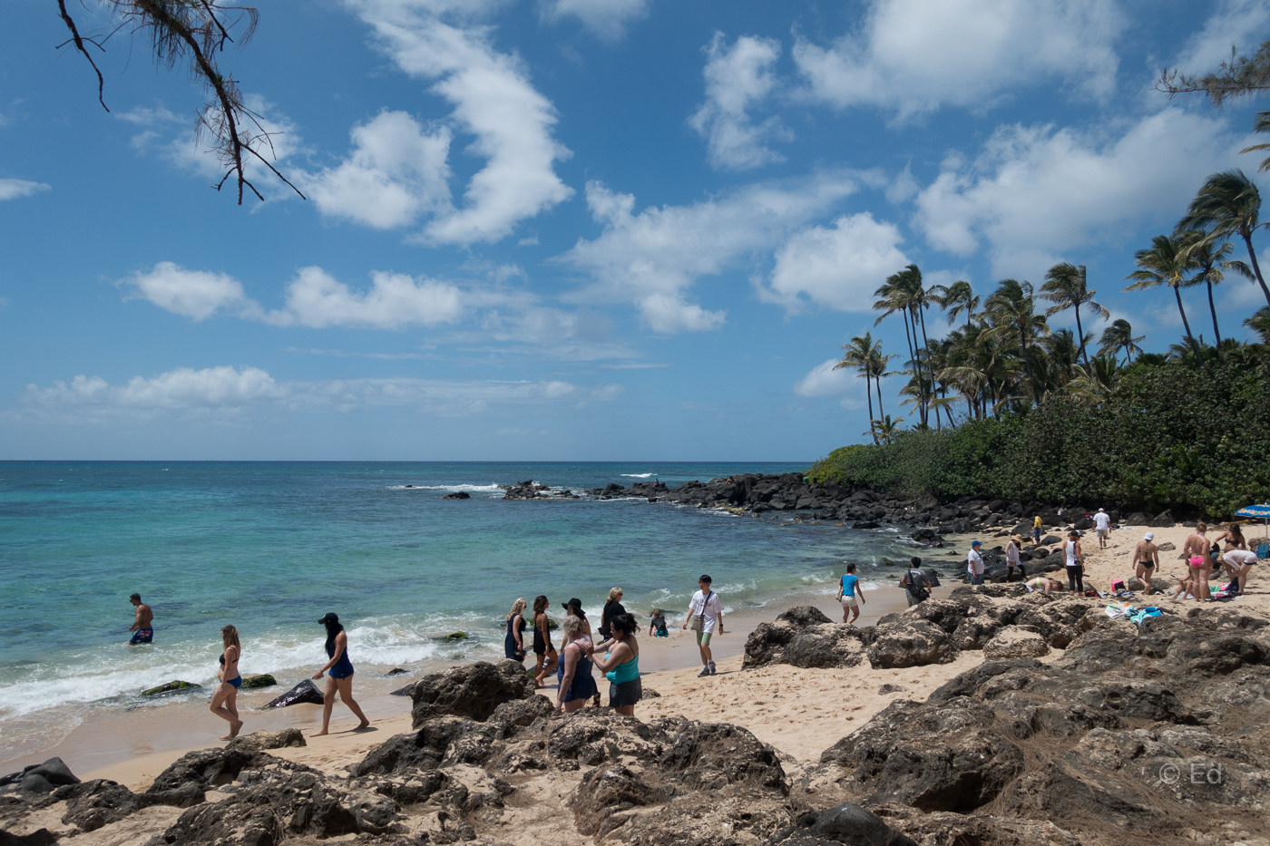 Hawaii 2015 #086