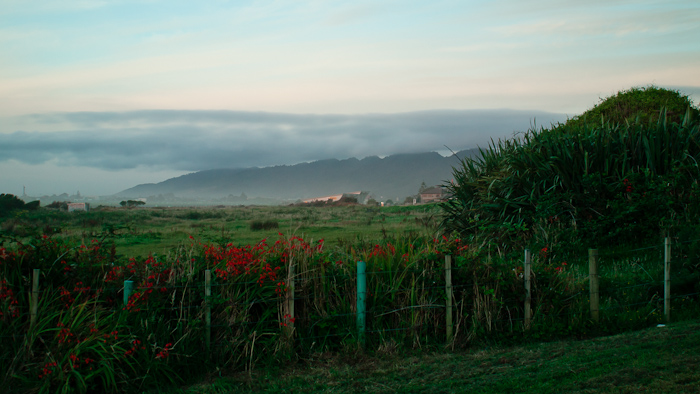 New Zealand Campervan Images