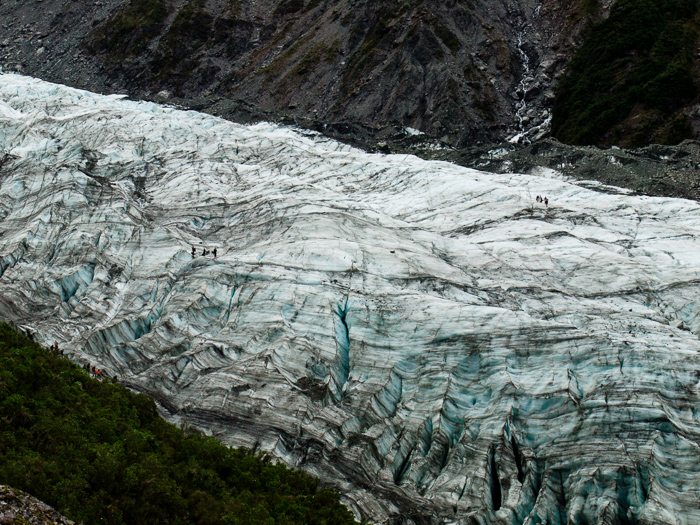 Fox Glacier Terminal Face