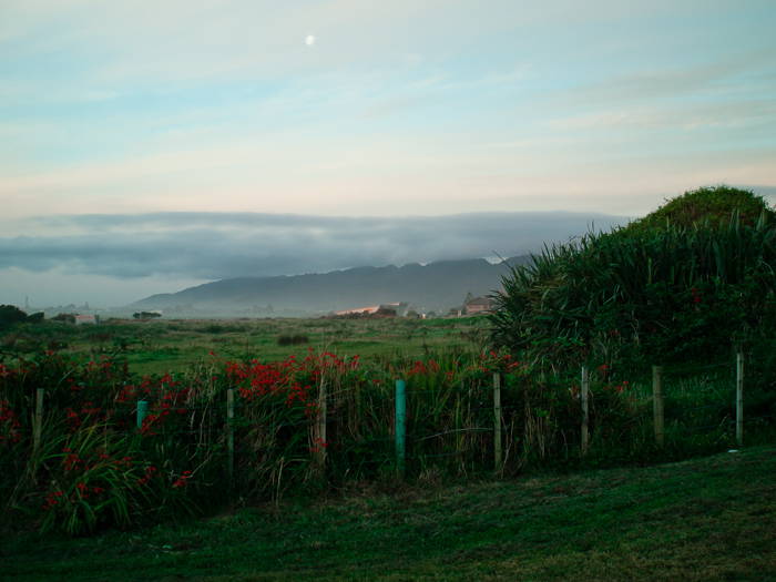 New Zealand Campervan Images