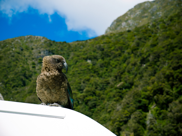 New Zealand Campervan Images